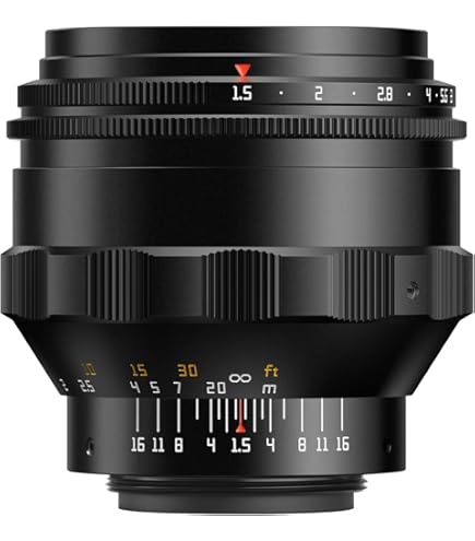 レンズ(単焦点) HELIOS 44M-5 58MM F2 RUSSIAN LENS FOR Sony E NEX RARE SET Amazon.com : Helios 44M 58mm F2 Russian Lens for Sony E NEX