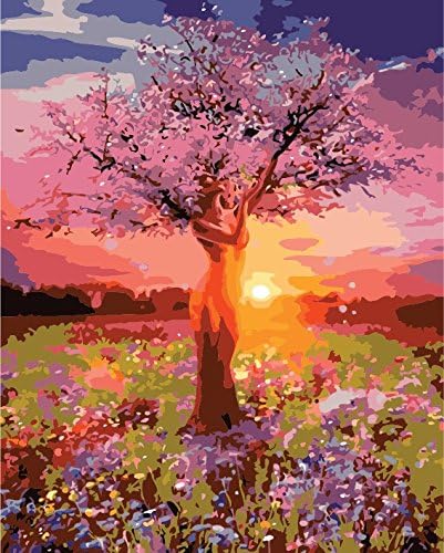 DIY Oil Painting Paint by Numbers, Paint by Number Kits Drawing With Brushes Paint, for Adults Kids Beginner Level 40x50cm - With Framed