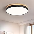 Vikaey LED Ceiling Light, Black Flush Ceiling Light 11.81inch, Ceiling Lamp for Living Room Kitchen Hallway Bedroom 4000K 24W