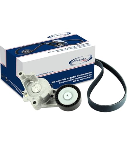 Kit De Courroie Multi-V SKF VKMA 31219 - Inclut Galets Et Courroie D'Accessoires D'Origine