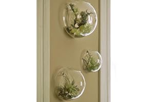 ECOSIDES 3 X macetas de Pared para Plantas suculentas, Interiores Jardines hogar decoración macetas Colgantes jarrón de Pared contenedor Vertical de Cristal Transparente para Plantas pequeñas Hierbas Cactus