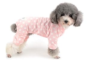 Zunea Schlafanzug für kleine Hunde, Gänseblümchen, bezaubernde Blumen, Baumwolle, Overall, Pyjama, Welpen-Mädchen, Schlafkleidung, Shirt mit Hose, Haustier, Hund, Katzen, Vierbein-Schlafanzug für alle
