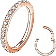 BLESSMYLOVE Clear CZ Nose Rings Hoop 316L Surgical Steel Cartilage Earrings Conch Daith Helix Rook Tragus Lobe Snug Body Piercing Jewelry 20G 18G 16G Stainless Steel Hinged Segment Rings Lip Rings