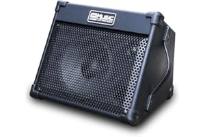 Coolmusic amplificador de guitarra acústica portátil de 40 W con entrada de micrófono, Bluetooth integrado, batería recargable con rendimiento de hasta 8 horas