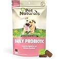 Pet Naturals of Vermont - Daily Probiotic for Dogs, Digestive Health Supplement, 160 Bite Sized Chews, 8.46 Ounce (Pack of 1)