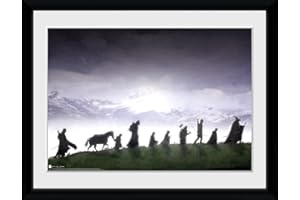 GB eye The Lord of The Rings Fellowship 30 x 40cm Framed Collector Print