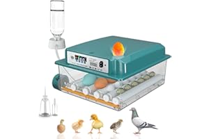 Hethya Incubadora Huevos Gallina, Incubadora de 12-16 Huevos, Incubadora Automática con Volteo Automático de Huevos, Añadir Agua Automáticamente y Lámparas de Huevo