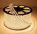 Citra LED Strip Light Waterproof Roll 15 Meter (120 led/Mtr) Warm White RS.999.00