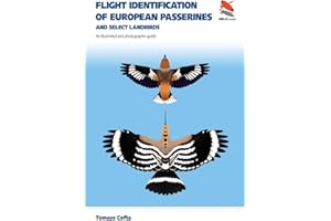Flight Identification of European Passerines and Select Landbirds: An Illustrated and Photographic Guide (Wildguides: Europe's Wildlife)