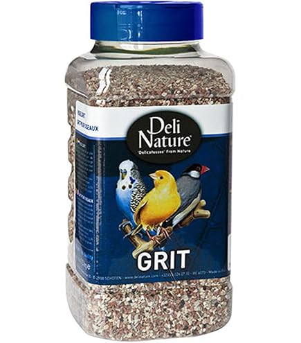 Graines De Lin DELINATURE - 1kg Pour Oiseaux - Alimentation Équilibrée Et Naturelle