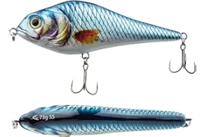 FISHN JERKYONE Jerkbait - Poids: 73g - Longueur: 15cm, Leurres artificiels, Leurres de pêche pour la pêche de Poissons prédateurs tels Que Le brochet, la Perche, la Truite, la Perche