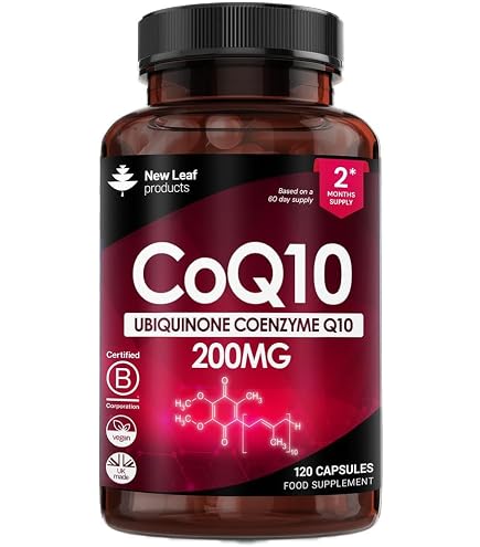 transparent labs l carnitine When to Take L-Carnitine for Optimal Training Benefits Transparent Labs