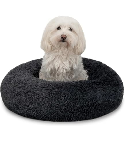 Cama Verano Perro Cama Redonda Donut Para Perros Y Gatos