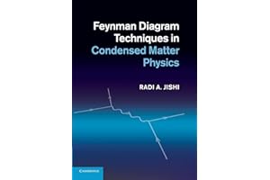 Feynman Diagram Techniques in Condensed Matter Physics