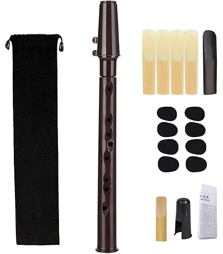 FOVERN1 Saxophone De Poche Portable - Kit Débutant Avec 4 Anches Et Sac