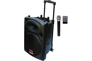 Mobile PA Sound Anlage Akku-MP3-USB-SD FM-Radio inkl. Funkmikrofon Party Lautsprecher Soundsystem E-Lektron EL25-M 500W