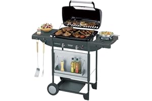 Campingaz Texas Revolution S - Barbacoa a Gas para Piedra Lava, 2 Quemadores Compactos, Quemador lateral, 8.2 kW, Parrillas H