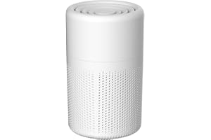 Valtreecho Air Purifiers for Bedroom, Home, Quiet HEPA Air Purifier for Smoke Pollen, Pet Dander, Odor, Dust Remove, H13 HEPA 3-stage Filter Small Air Purifier, Kitchen and Office