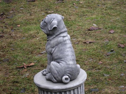 Steinfigur Welpe Hund Mops Gross 27 cm ca.6 kg Frostfest Wasserfest Stein Nr.081 - 5