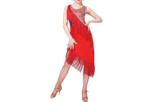 DAIHAN Damen Latein Kleid Salsa Tango Tanz Kleid Fransenkleid Glitzer Tanzkleid Flapper Tanzkostüm für Latin Cha Cha Rumba Samba Tango
