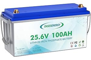 Oasesenergy Batterie LiFePO4 24V 100Ah Cycle Profond, Batteries Lithium-Fer-Phosphate Rechargeable, BMS 100A Intégré,15000 Cycles pour Caravanes, Camping-Cars, Maison Solaire, Hors-Réseau,Bateaux