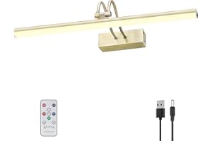 RAIFOOLLY Picture Light, 20in Battery Operated Picture Lights for Paintings,Metal Remote Display Art Light with Timer and Dimmable for Wall Painting,Frame, Portrait, Dartboard(Antique Brass), RF00280
