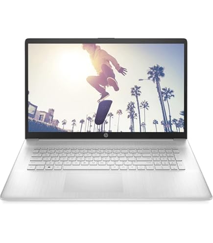HP 17 Silber 17,3