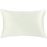 Jasmine Silk 100% 19 Momme Mulberry Charmeuse Silk Pillowcase 50 cm x 75 cm - RRP £35 (Ivory)