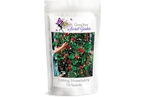 Grow your secret garden Trailing Strawberry Seeds - Runners up to 1 m, Delicious Crop!