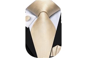 Dubulle Mens Tie Set Solid Paisley Novelty Silk Necktie for Men with Cufflinks Tie and Pocket Square