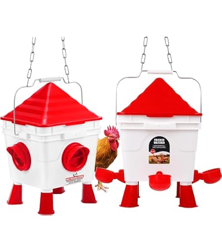 Feathers And Beaky Sd46610net-v0parent - Pack Of 1