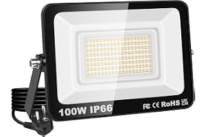 RIGIDON Led utomhusstrålkastare, 1x 100W 10000LM strålkastare med stickpropp, nätdriven säkerhetsbelysning, uteplats för gara