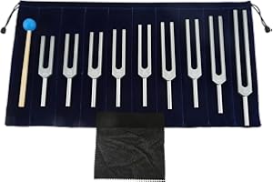 DRELD Set di 9 Diapason in Argento, 174/285/396/417/528/639/741/852/963Hz con 1 Martello in Silicone Blu e Una Borsa per Terapia del Suono, Equilibrio, Guaritori, Vibrazione