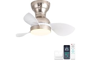 ycwdcz Ø56cm Mini Deckenventilator mit Lampe und Fernbedienung, kleine Deckenventilator mit Beleuchtung, Reversibel Sommer Winterbetrieb 6 Gang Leise DC Motor, Silber + Weiß