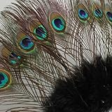 Dance Fairy Pfau Feder Bauchtanz Handventilator beste Halloween Geschenk schwarz - 
