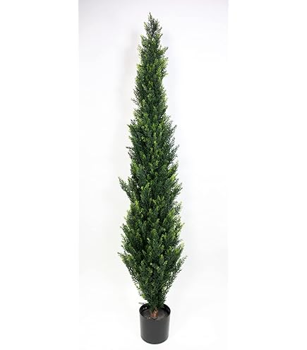 balkon blumenkasten wand Susteelable Wandblumenkasten grün kaufen