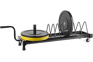 CAPITAL SPORTS Plarak Jaula para discos portátil 500 kg máx. (Soporte para discos de pesas, siete segmentos, ruedas fácil transporte, almacenaje pesos profesional)