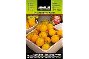 Semillas Batlle Tomate Amarillo Cherry Gold Nugget