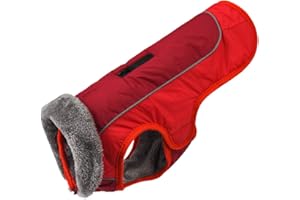 JoyDaog – Manteau imperméable en polaire et coton pour chien de petite taille