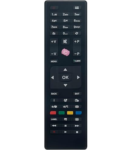 Telecomando Universale Telecomando Sostitutivo Per TV SANSUI E CAIXUN