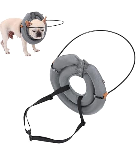 Teksome Blind Dog – Guía Anticolisión Para Gatos Ciegos O Perros Pequeños, Arnés Protector Ligero Con Halo De Aluminio Y Espuma, Talla S (4-10 Kg)