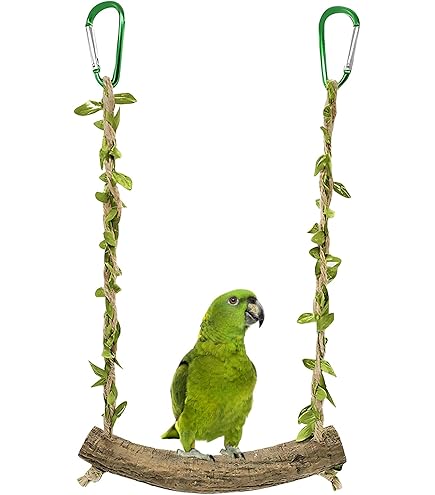 Flower Swing : R/GirlsInColors