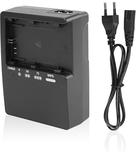 Chargeur Original Canon LC-E6E Pour Batteries LP-E6