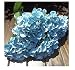 Produktbild NO: 1 künstliche Hortensie große blaue Blüten 7 Mop Heads