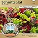 Produktbild Schnittsalat Fitness Mix Saatband für Balkon & Terrasse bunt schmackhaft vitaminreich 43020 Salat