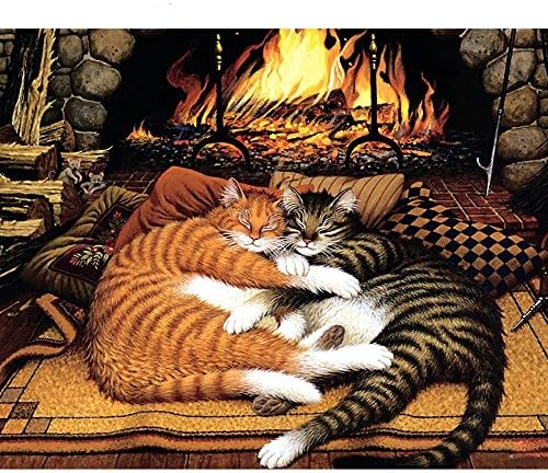 MX kingdom DIY Oil Painting by Numbers Kits Theme - Digital Oil Painting Canvas Kits PBN for Adults Children Kids Birthday, Wedding or new accommodation decoration gifts -16*20 inches, Without Frame
