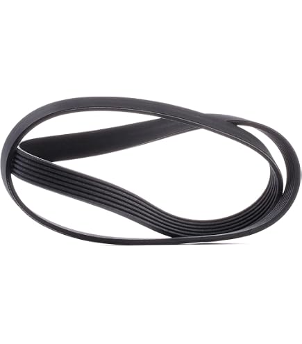 Febi-Bilstein 38244 Cinghia Poly-V 5 Alette 1765 Mm - Per Mercedes Classe A E B (2004-2012)