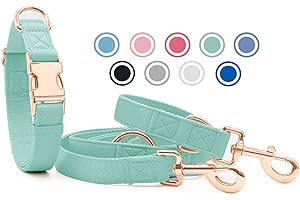 HEYDOGGY Soft Leather Dog Collar and Lead (2 m) Set - 3-Way Adjustable Dog Lead with Collar, Stylish Rose Gold Metal Buckle & Nylon Dog Lead for Puppies Small Medium Large Dogs Green, S