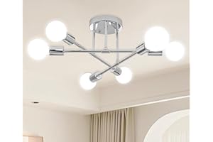 Dellemade Ceiling Light, 6 Lights Chandelier Ceiling Light for Living Room,Bedroom,Kitchen (Silver)