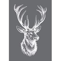 Rayher Siebdruck-Schablone Insekten DIN A5 – Selbstklebend, Mit Rakel